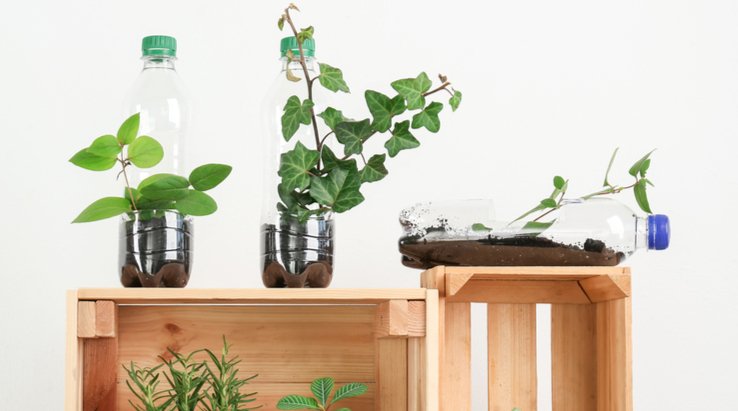 Manfaat Daur Ulang Sampah dan Menggunakan Kembali Plastik di Rumah